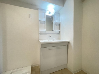 明るいシャンプードレッサー