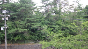 バルコニーからの眺望