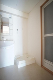 独立洗面台・洗濯機置場